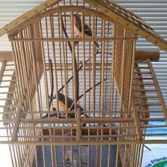竹細工の鳥かご
