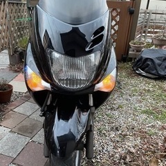 決まりました　マジェスティ　125  F1 後期