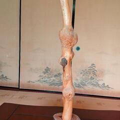 イチョウの木の置物