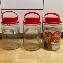 アデリア果実酒びん　4L×3個セット