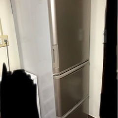 SHARP冷蔵庫SJ-WA35X家電 キッチン家電 冷蔵庫