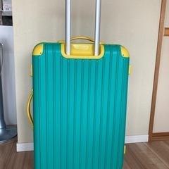 ★購入者決定★スーツケース　67x46x28cm