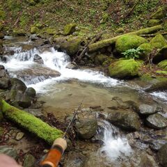 渓流ルアーのお仲間募集