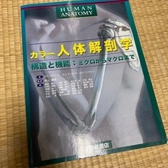 カラー　人体解剖学