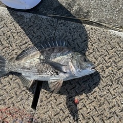 一緒に釣りを楽しみましょう🐟