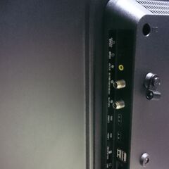 2024.04.14 お買い上げありがとうございます。)（アイリスオオヤマ