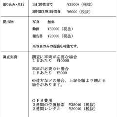 浮気調査、1日5時間内、４～5万円で対応可能です。