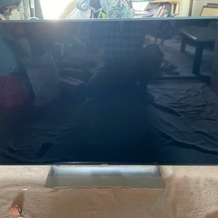 値下げ SONY BRAVIA 49インチ