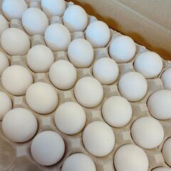 業務用卵の配送　毎週木曜日のみ　の画像