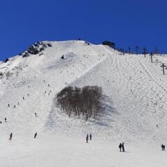 3/23-24 白馬にスキー／スノボに行きませんか？