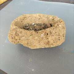 桜島溶岩の鉢