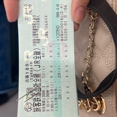 2024年春青春18きっぷ4回分