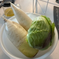 朝取れ　無農薬野菜