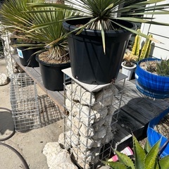 ガビオンゲージ制作します🌴