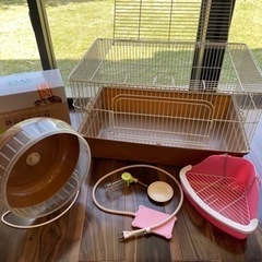 ハリネズミ飼育セット