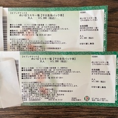 めいほうスキー場平日リフト+食事券チケット