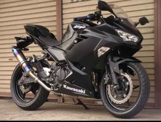①★NINJA250 EX250P★BMSマフラー！ABSモデル！走行少ない！ニンジャ250、Ninja250
