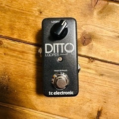 tc electronic  Ditto Looper