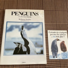 ペンギン　写真集