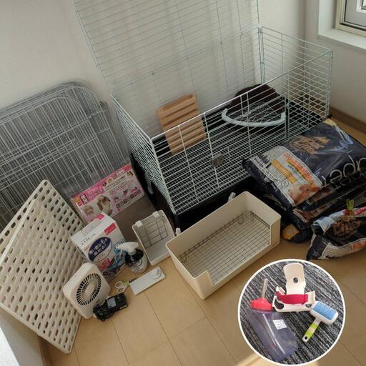 うさぎ飼育はじめようセット　まとめ売り
