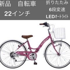 マイパラス 子供用自転車 22インチ 