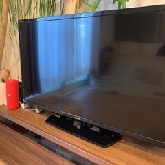 家電 テレビ 液晶テレビ