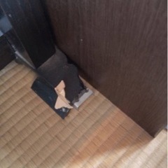 クラビノーバ　CLP-156