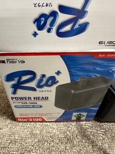カミハタ Rio3100 西日本60Hz