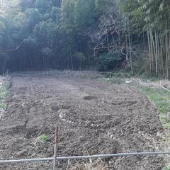 福岡県糸島市の畑お貸しいたします。