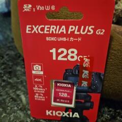 【ネット決済・配送可】EXCERIA PLUS G2