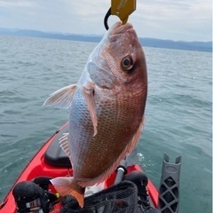 【カヤック】　釣り　マリンスポーツ