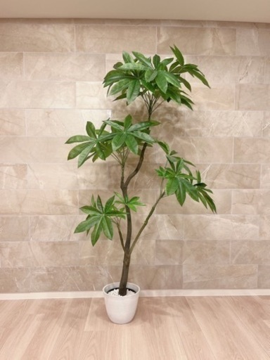 ニトリ 170cm フェイクグリーン(パキラ)  観葉植物