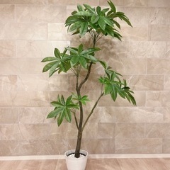 ニトリ 170cm フェイクグリーン(パキラ)  観葉植物　