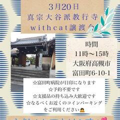 【保護猫の譲渡会】大阪府高槻市　3月20日（水・祝日）