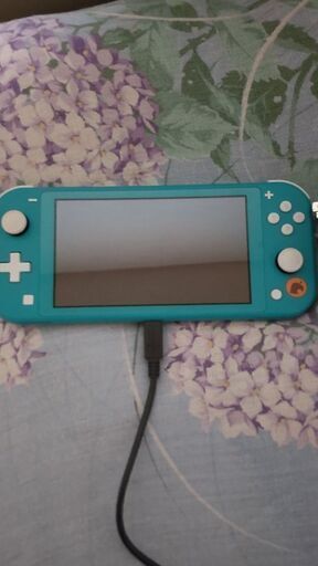 Switchライト。あつもり同梱版アロハ柄
