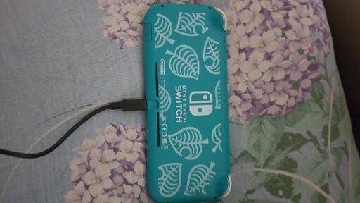 あつまれ どうぶつの森」をセットにした特別デザインのSwitch Liteが本日11