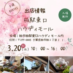 3月20日　ホコ天　柏駅　ハウディーモール出店のお知らせ