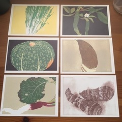 差し上げます　野菜　絵葉書　6枚セット　ハガキはがき