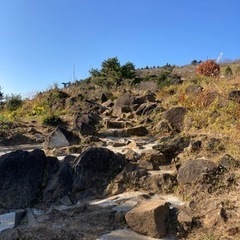 低い山だけど、、登山の画像