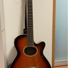 【ネット決済】アコースティック・ギター ARIA