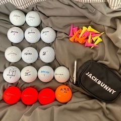 NIKE ナイキ スリングショット ゴルフセット クラブ11本&キャディバック&付属品付