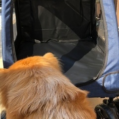 【お引渡先が決まりました】大型犬用ペットカート