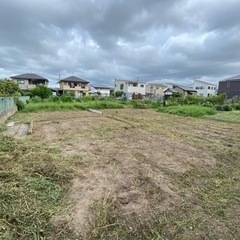 庭木の剪定、草刈りなどお困りの方ご気軽にご相談ください🌸 - 剪定/造園