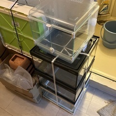 （値下げ交渉アリ）爬虫類・両生類用ケージ（複数） 値下げ交渉アリ）爬虫類・両生類用ケージ（複数）