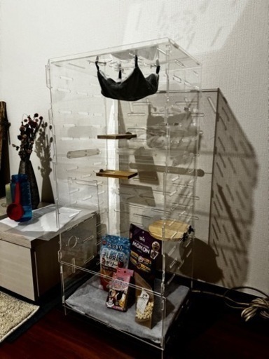 フクロモモンガ 360度見渡せるアクリルルーム Amazon | MINORITY