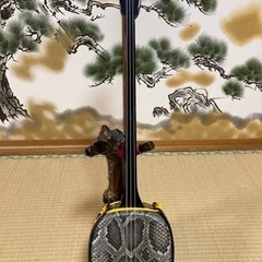 沖縄三線！新品！貴重！知念大工型！本蛇皮、本張り (一枚張り)❼