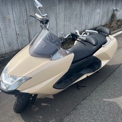 バイク スズキ　マグザム おまけ付　250cc SG17J