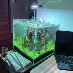 アクアリウム　LEDライト　Chihiros C2 RGB