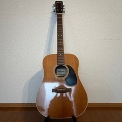 Morris W-18 Acoustic Guitar Body...