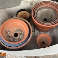 陶器の植木鉢🩷